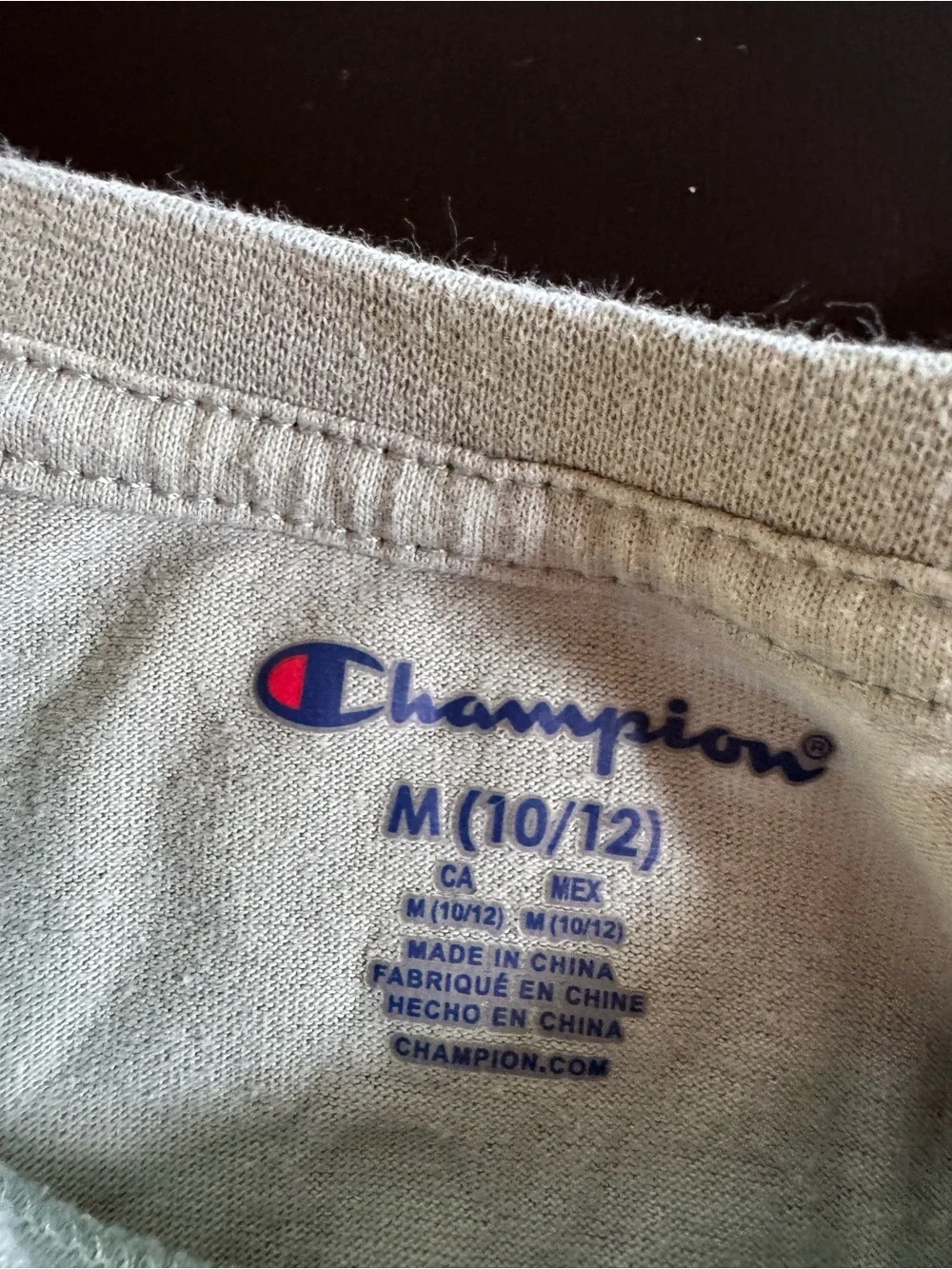 Champion Men's Sage Green Short Sleeve Tee with White Logo